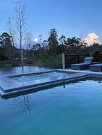 Monarch Campestre