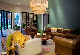 Monarch Campestre