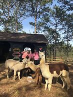Kim Ngan Hills Resort