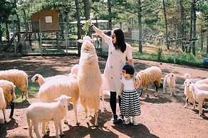 Kim Ngan Hills Resort