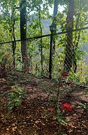 Marten's Wilderness Retreat