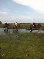 Wild Wetlands Lodge