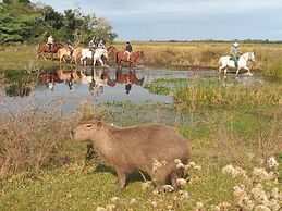 Wild Wetlands Lodge