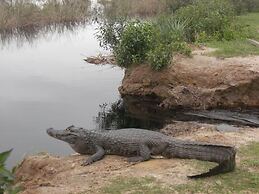 Wild Wetlands Lodge