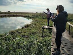 Wild Wetlands Lodge