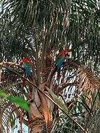 Wild Wetlands Lodge