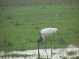Wild Wetlands Lodge