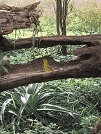 Wild Wetlands Lodge