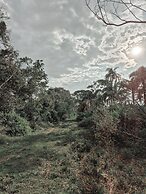 Wild Wetlands Lodge