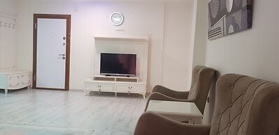 vbasuıten