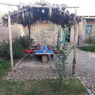 Dar Oasis Moringa