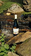Vinte-Quinta da Boavista