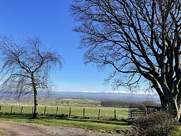 Winder Green