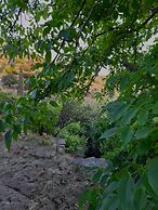 Ktima Drilli Naxos