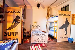 Dinosaur anza surf house