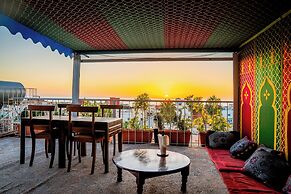 Dinosaur anza surf house