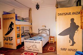 Dinosaur anza surf house