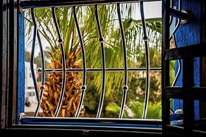 Dinosaur anza surf house