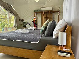 Amaj Eco Lodge