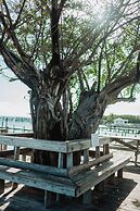 Guana Beach Inn