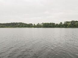 Swan Lake