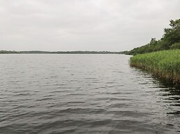 Swan Lake