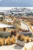 Solus Suites