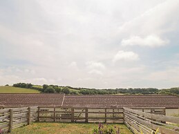 Egdon Heath