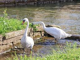 The Swans Nest Lock View