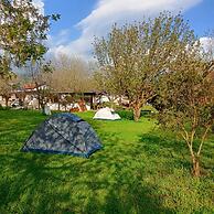 Ya Basta Camping