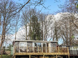 Treetops