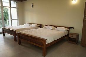 One Piece Homestay