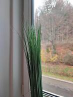 Room in Guest Room - Pension Forelle - Double Room n01