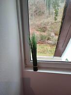 Room in Guest Room - Pension Forelle - Double Room n01