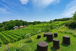 Hedonistic Vineyard Estate