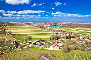 Hedonistic Vineyard Estate