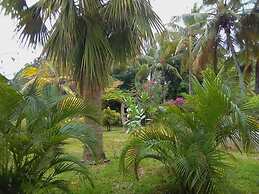 Mwezi Nyota