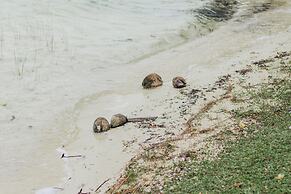 Mayan Playa Bacalar
