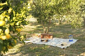 Quonset Glamping