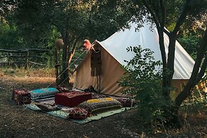 Glamping Canvas Butterfly Valley