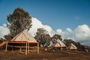 Lago Valle Wine Glamping