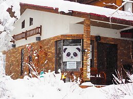 Pension Snowfall Meteor