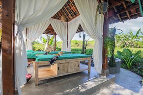 Abian Ubud View
