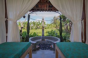 Abian Ubud View