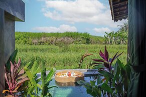 Abian Ubud View