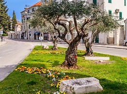 Centar Split Manuš