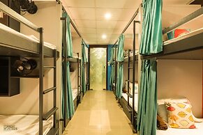 Forrest Hostels