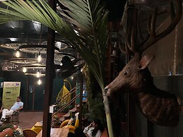 Forrest Hostels