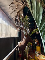 Forrest Hostels