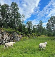 Senja Living